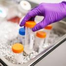 Gloved hand picking up multicolored pipettes