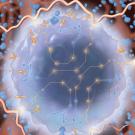 A graphic illustration depicting programmed killer T cells